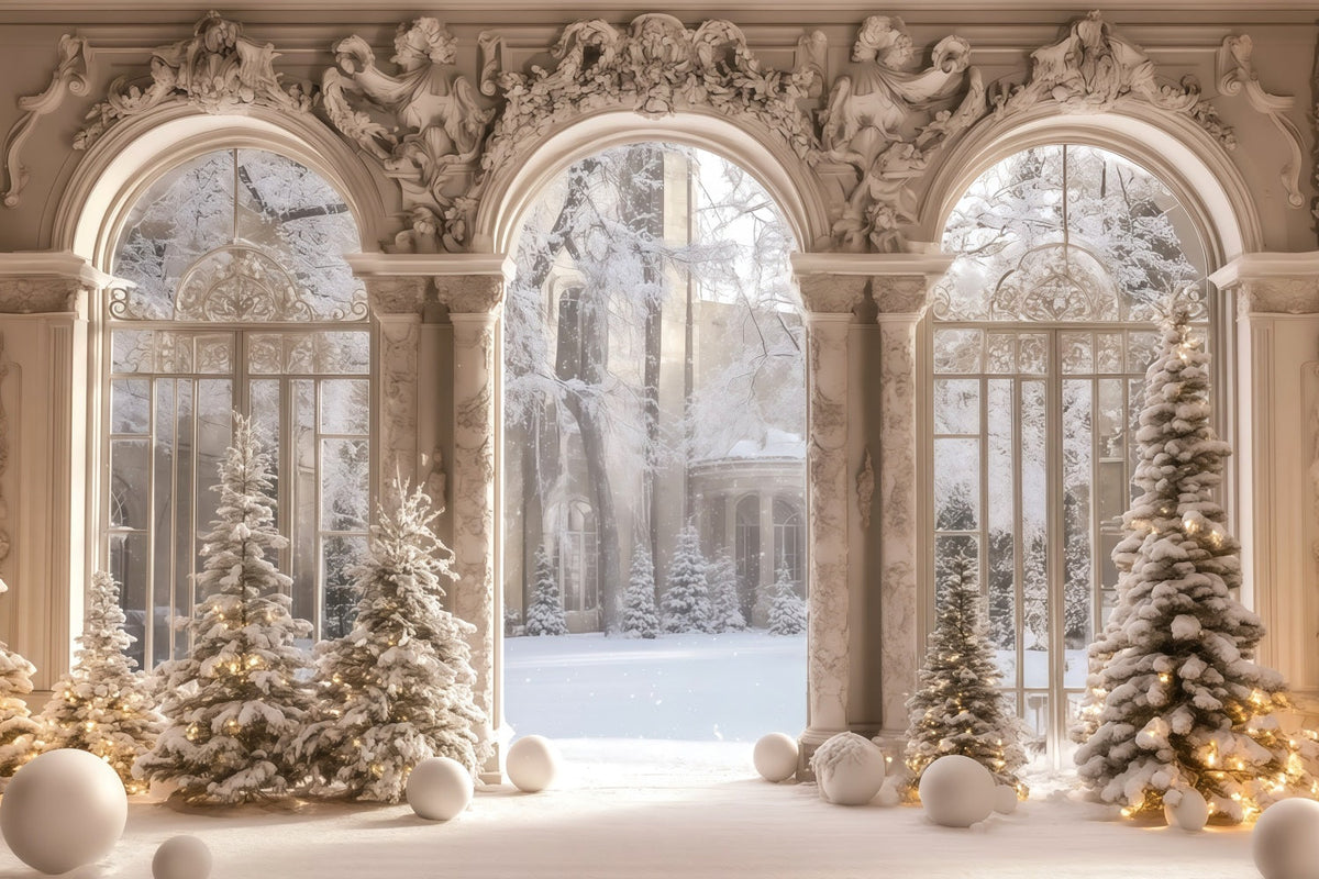 Victorian Christmas Backdrop Snowy Palace Window View Muslin Backdrop Christmas UK RR68-95