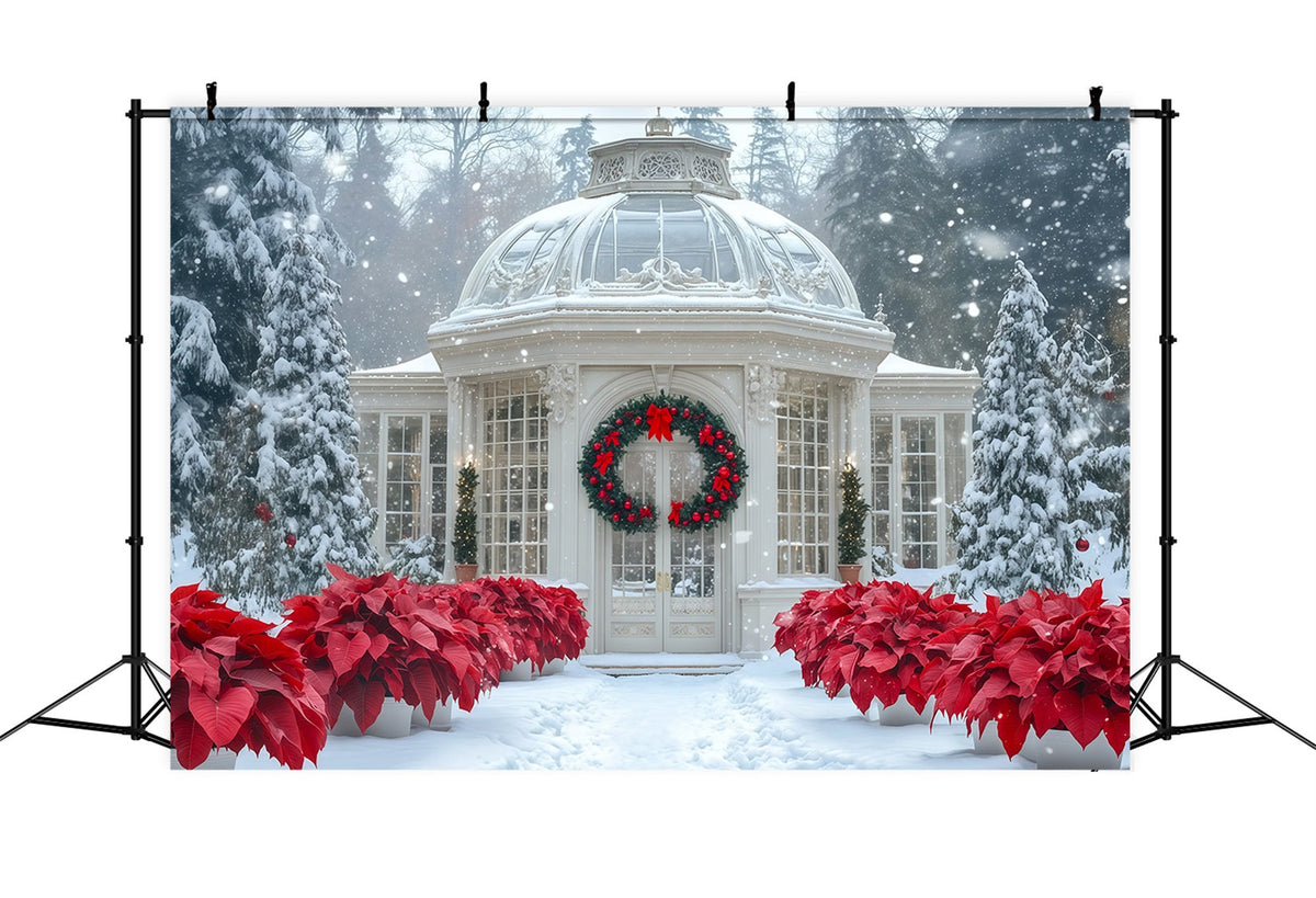 Snowy Christmas Backdrop Conservatory Poinsettia Garden Photography Christmas Backdrop UK RR69-12