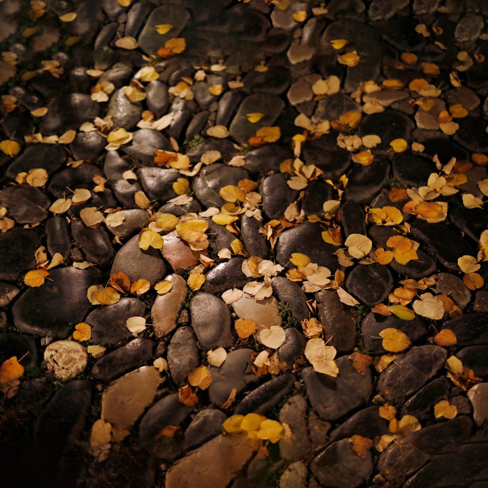 Dim Drop Leaves Pebble Floor Backdrop UK RR7-527