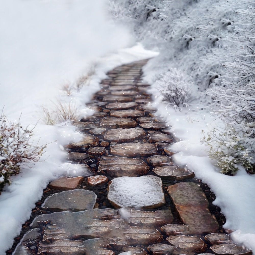 Snowy Vegetation Mountain Path Floor Backdrop UK RR7-547