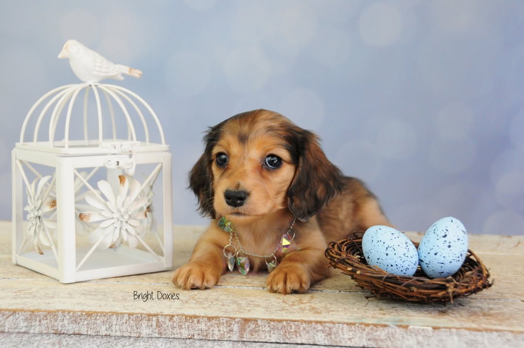 Light Blue Bokeh Blurred Photography Backdrop uk SH669
