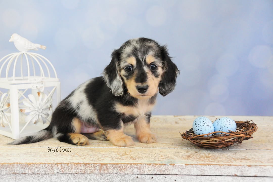 Light Blue Bokeh Blurred Photography Backdrop uk SH669