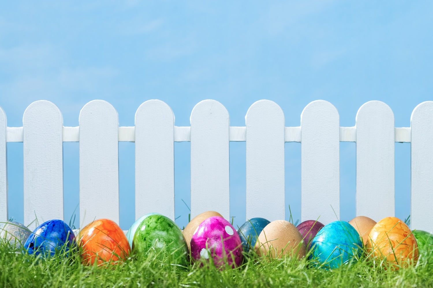 Easter Backdrop Photography White Fence Colorful Egg Backdrop UK TWW3-28