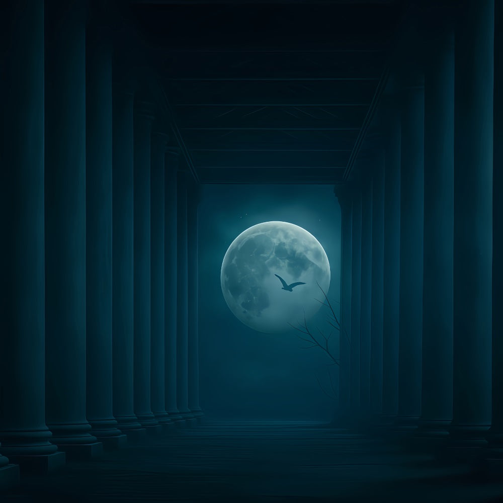 Halloween Moon Backdrop Moonlit Pillars Dark Corridor Halloween Backdrop UK TWW510-31
