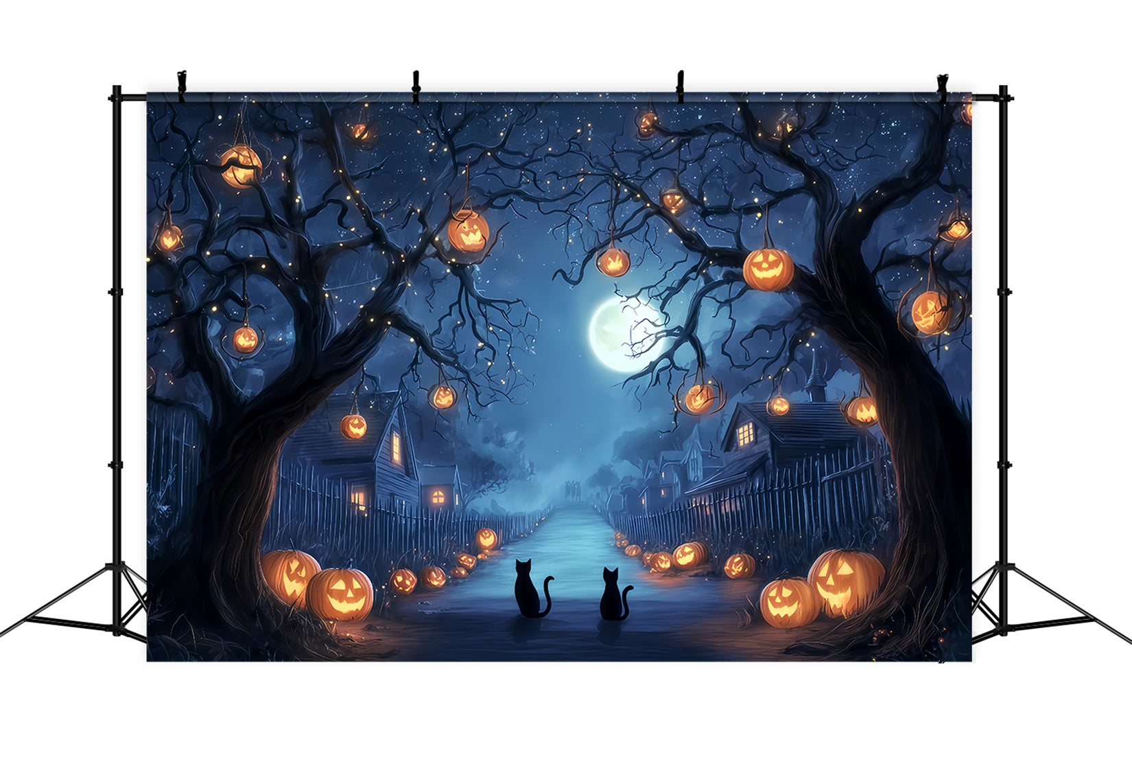 Halloween Color Backdrop Pumpkin Lane Midnight Cats Spooky Halloween Backdrop UK TWW510-38