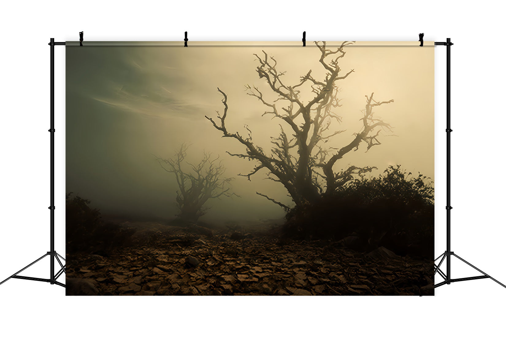Haunted Forest Backdrop Foggy Dead Tree Field Halloween Backdrop UK TWW510-41