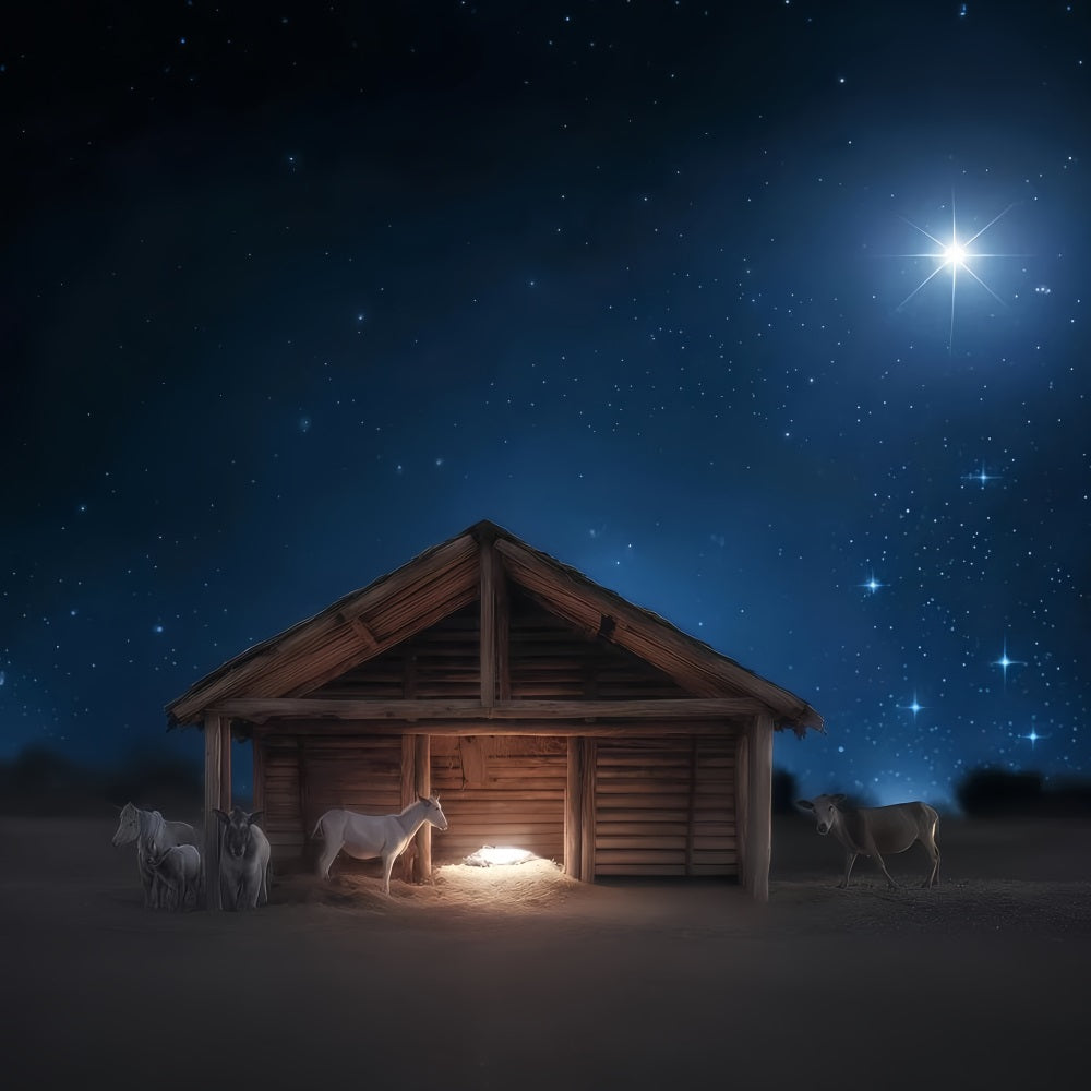 Nativity Backdrop Silent Night Manger Glow Christmas Backdrop Ideas UK TWW510-77