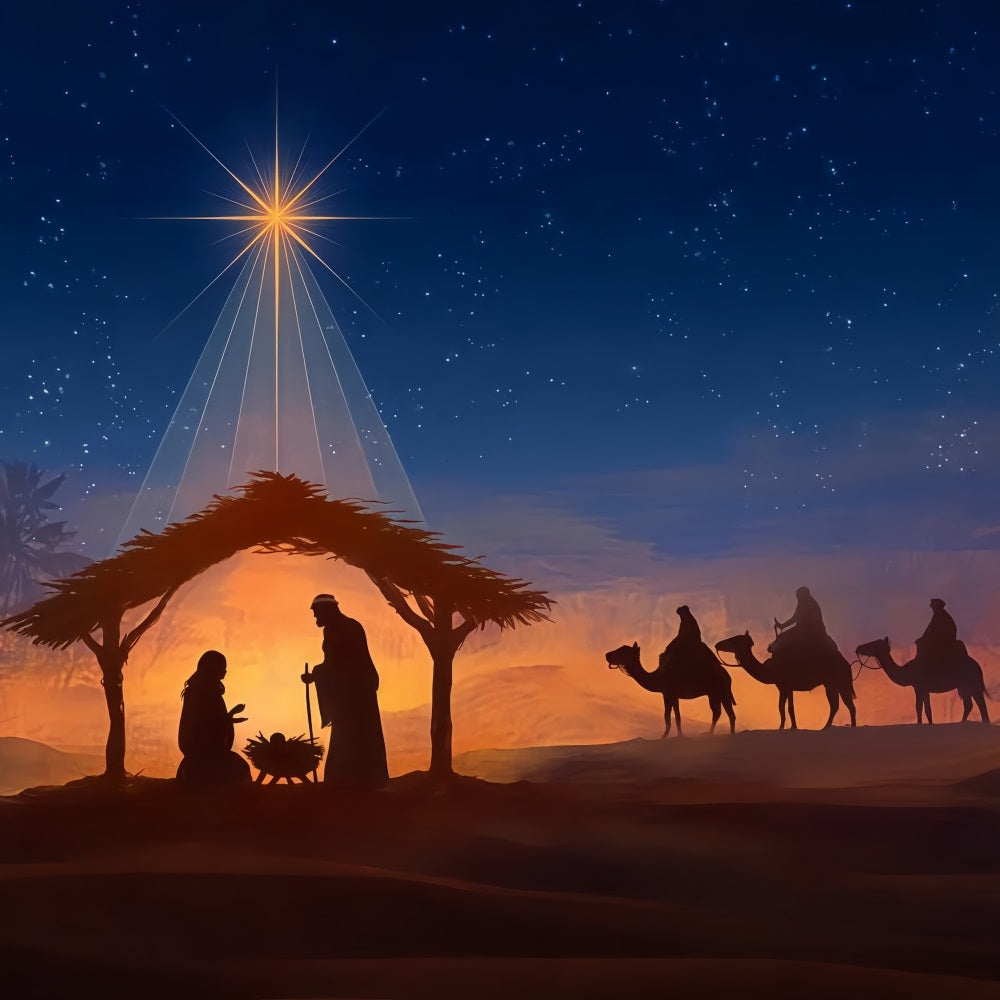 Nativity Backdrop Bethlehem Star Night Journey Christmas Backdrop UK TWW510-88
