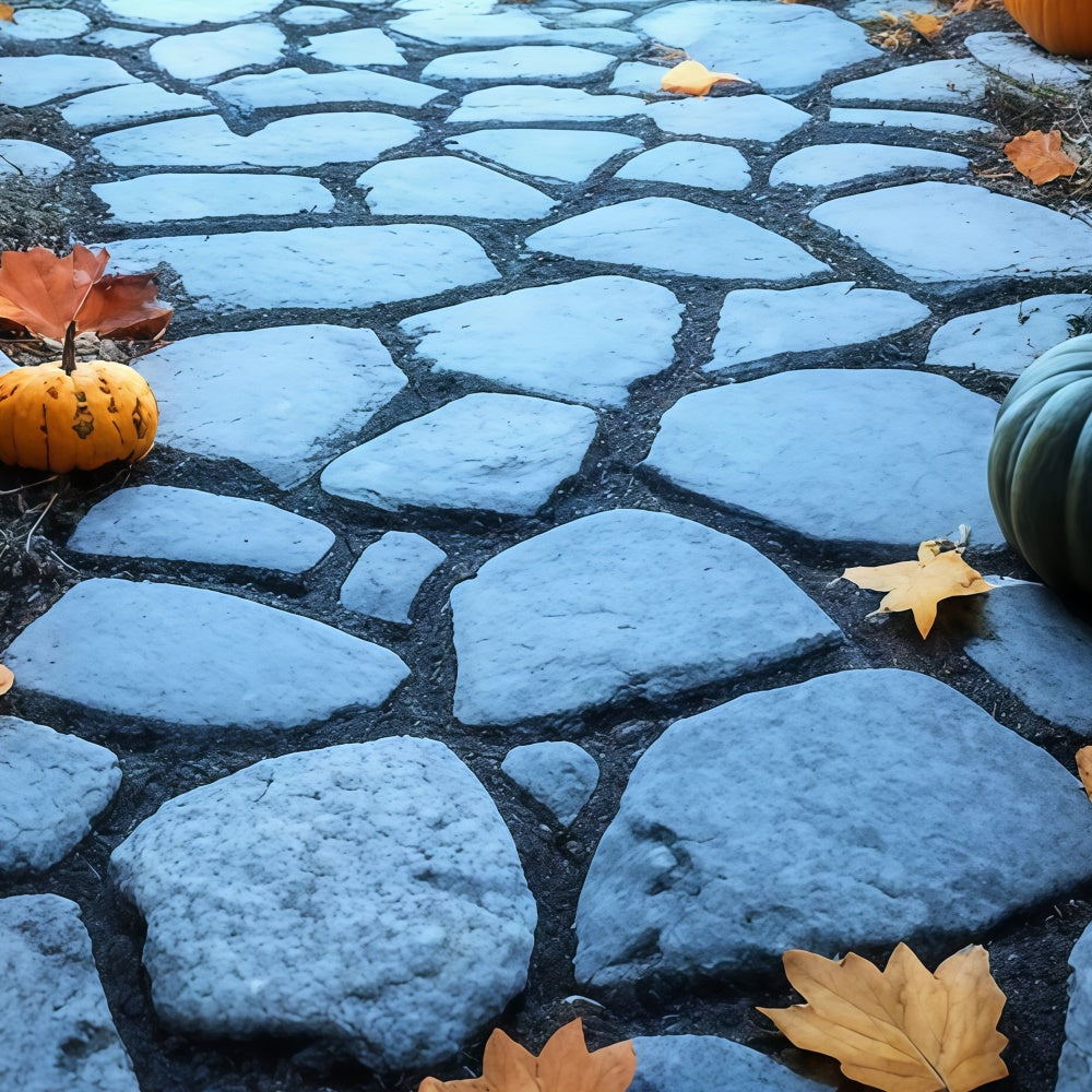 Backdrop Floor Twilight Pumpkin Path Floor Backdrop UK TWW57-14