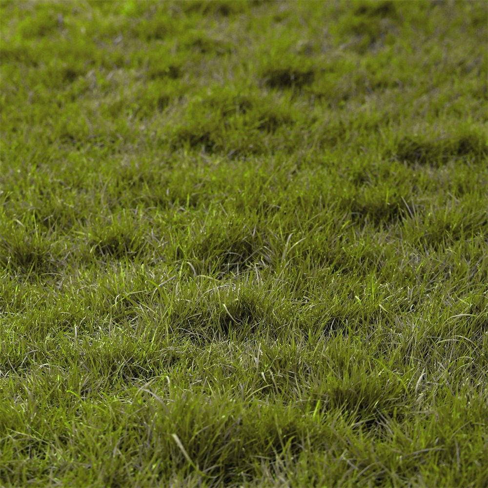 Floor Backdrop Photography Natural Turf Grass Floor Backdrop UK TWW57-27