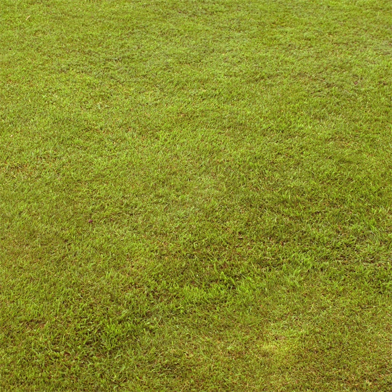 Photo Backdrop Floor Pastel Green Grass Floor Backdrop UK TWW57-3