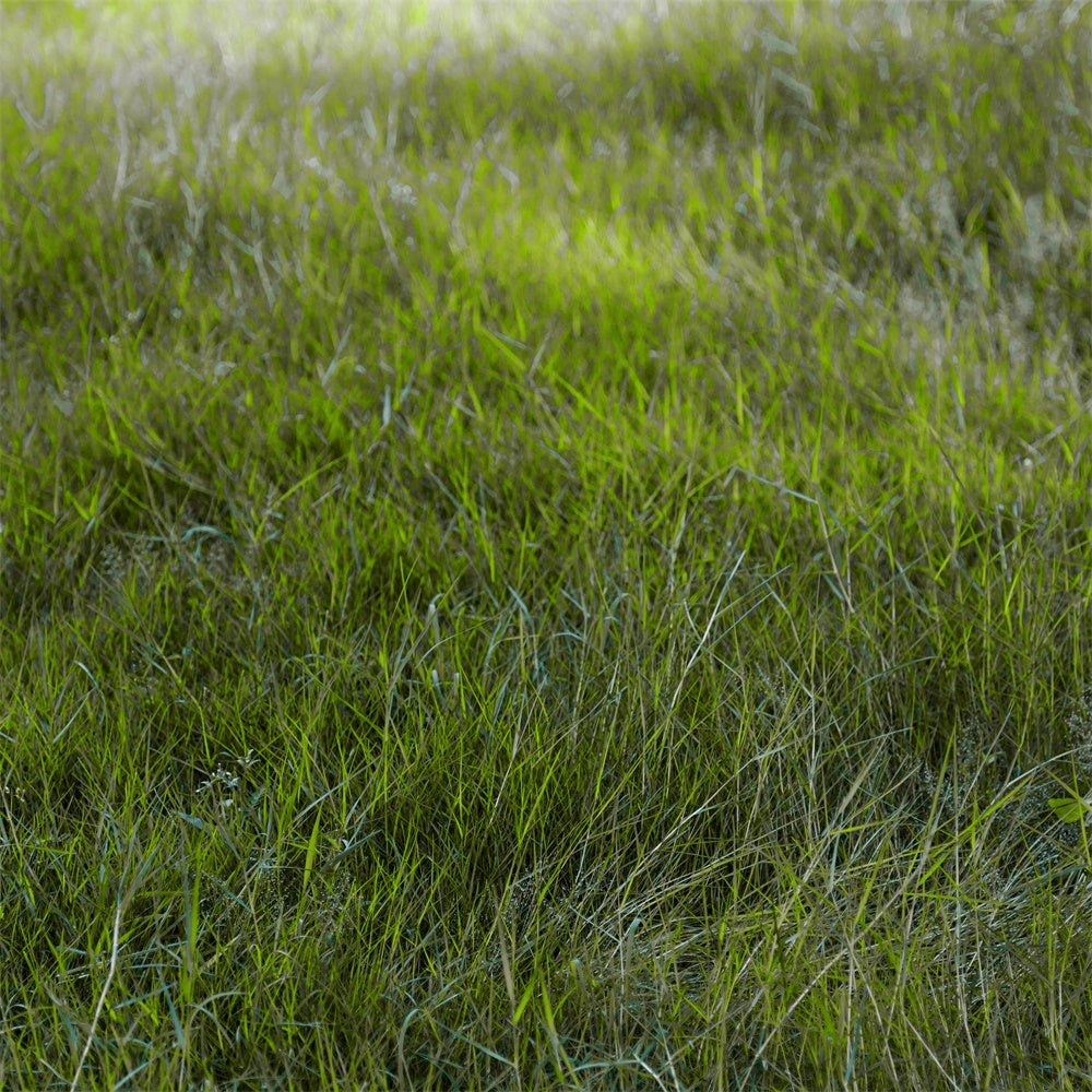 Floor Backdrops Morning Light Field Floor Backdrop UK TWW57-30