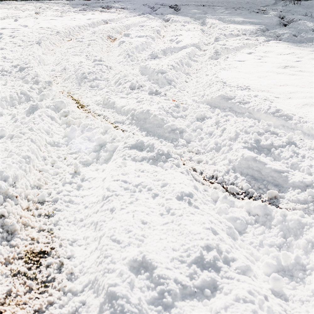 Snow Floor Backdrop Winter Tire Tracks Floor Backdrop UK TWW57-34