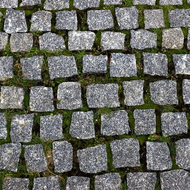 Floor Backdrops Cobblestone Moss Path Floor Backdrop UK TWW57-4