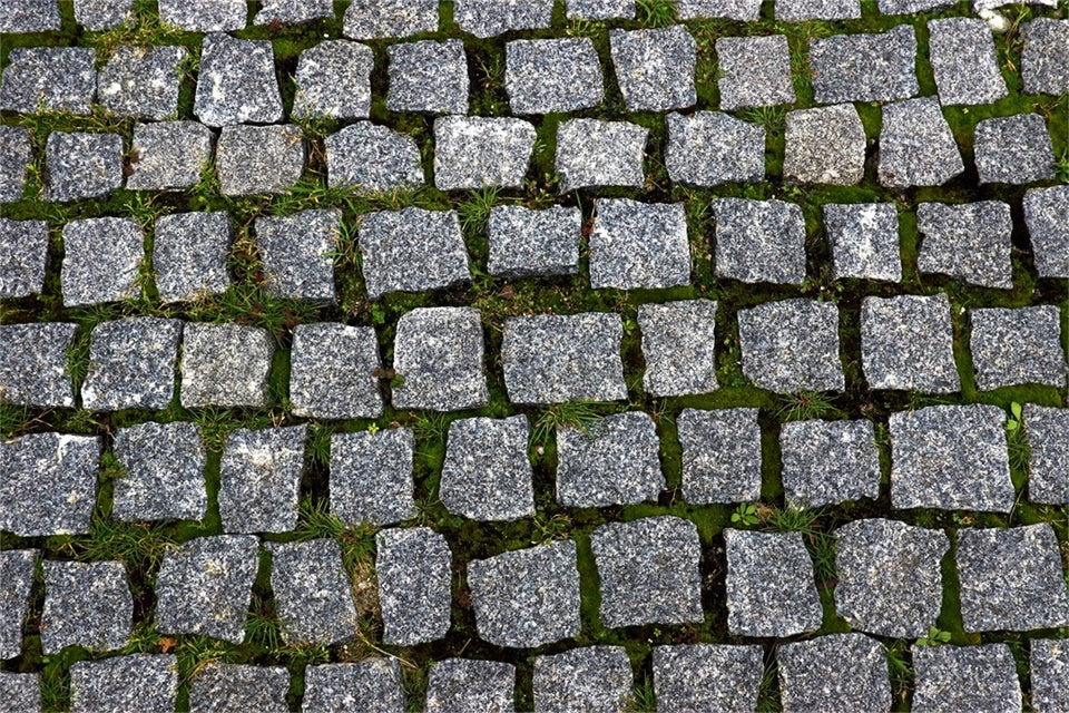 Floor Backdrops Cobblestone Moss Path Floor Backdrop UK TWW57-4