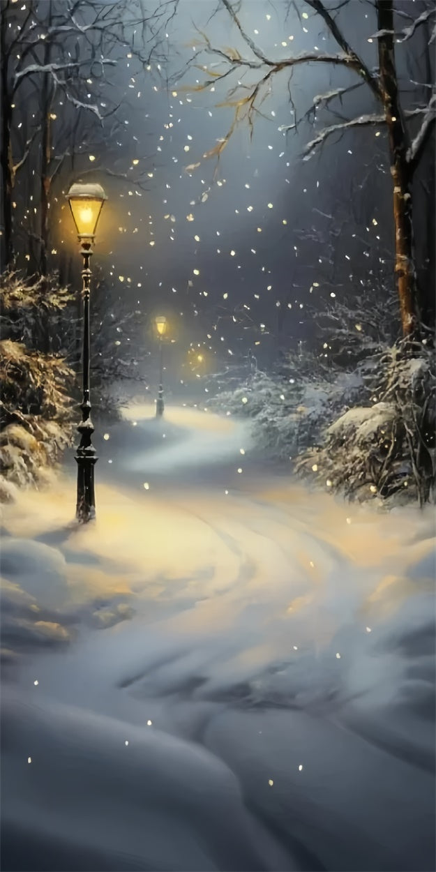 Winter Forest Backdrop Snowfall Lantern Path Sweep Backdrop UK TWW57-85