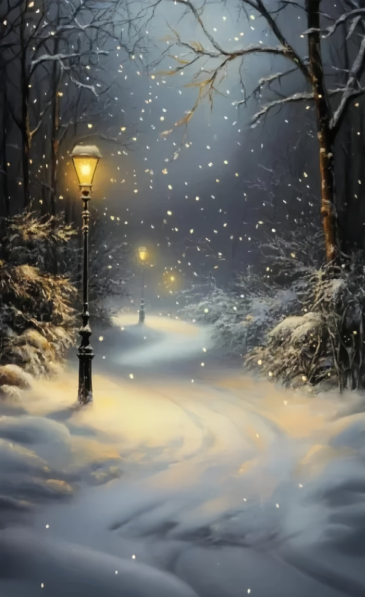 Winter Forest Backdrop Snowfall Lantern Path Sweep Backdrop UK TWW57-85