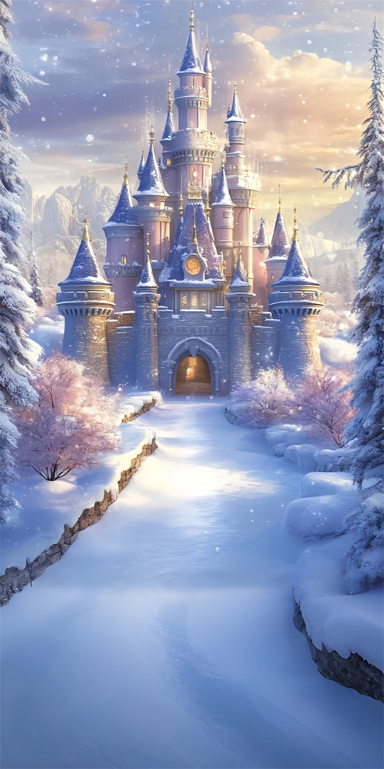 Winter Photo Backdrop Royal Winter Castle Sweep Backdrop UK TWW57-98