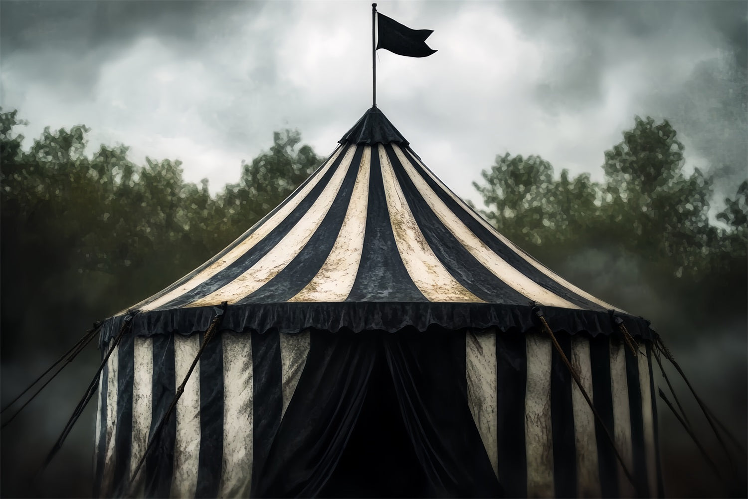 Carnival Tent Backdrop Vintage Black White Tent Circus Carnival Backdrop UK TWW59-10