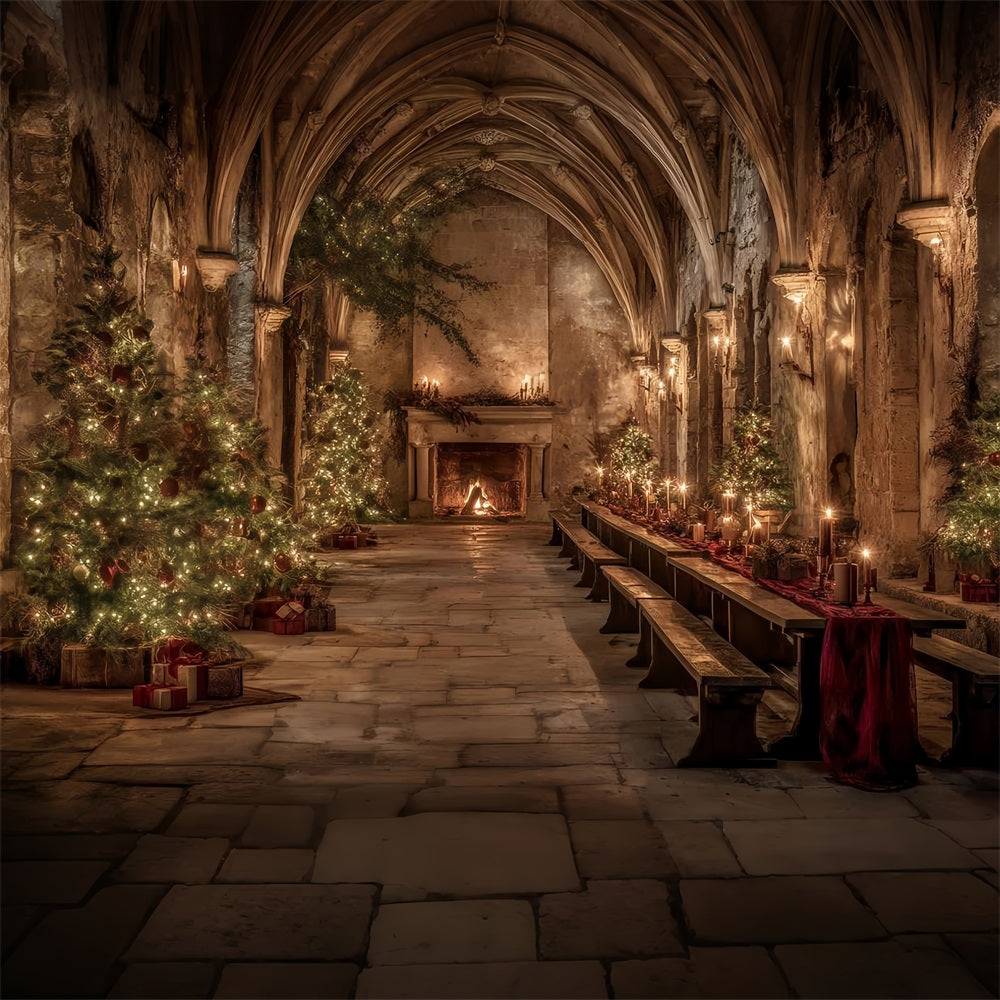Church Backdrop Medieval Banquet Hall Christmas Professional Christmas Backdrops UK TWW59-112