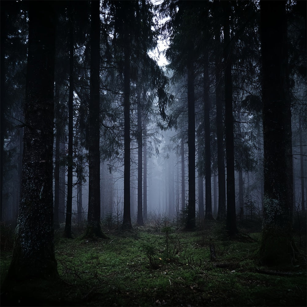 Spooky Forest Backdrop Dark Misty Pine Woods Dark Forest Backdrop UK TWW59-132