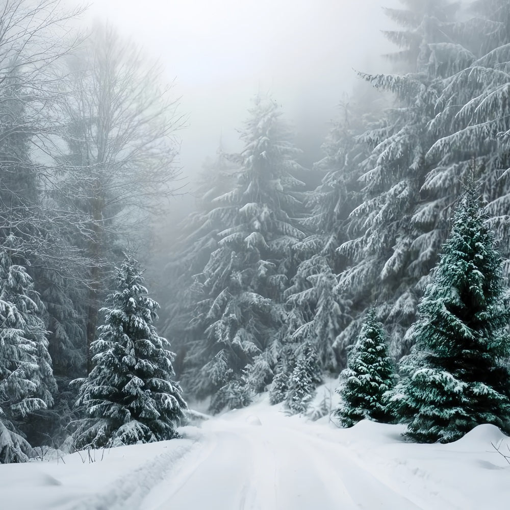 Winter Forest Backdrop Frosted Evergreen Silence Snow Forest Backdrop UK TWW59-134