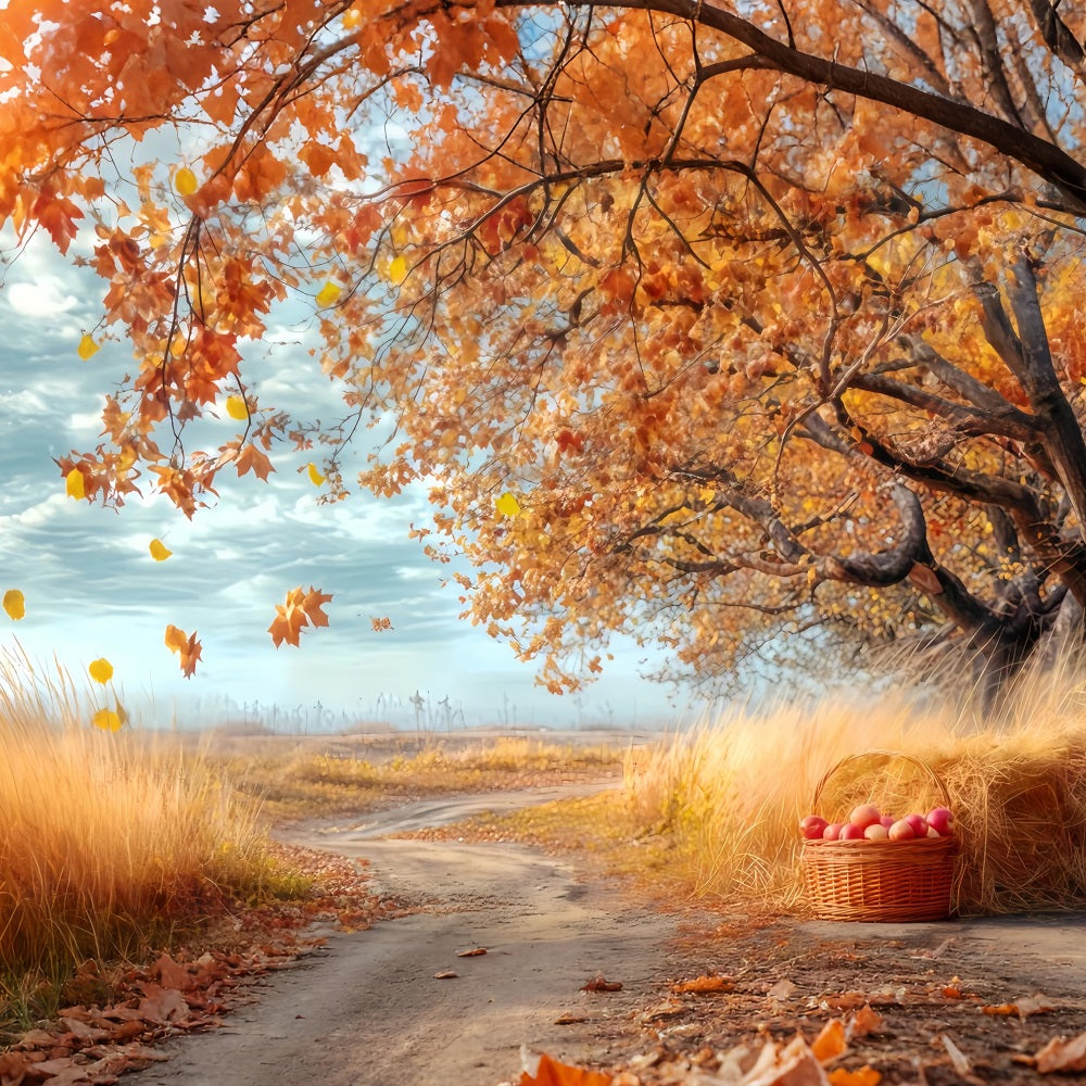Fall Forest Backdrop Rustic Orchard Autumn Path Forest Backdrop UK TWW59-150