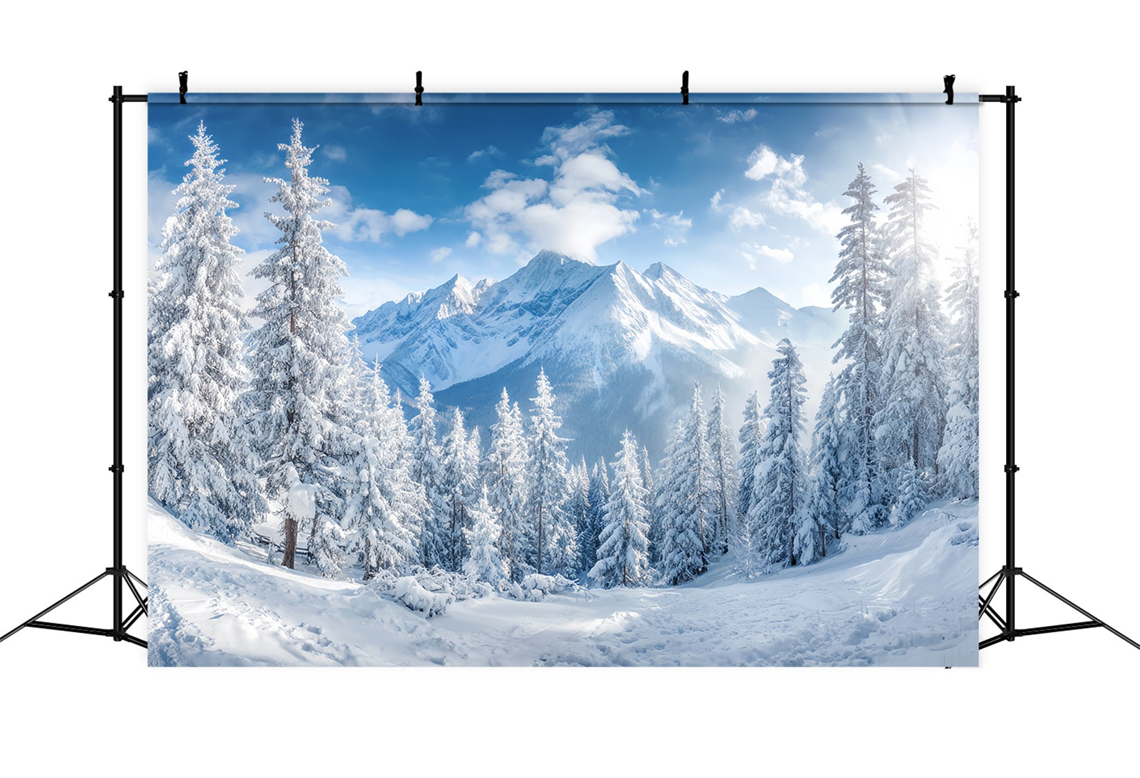 Snowy Forest Backdrop Winter Mountains Pine Valley Forest Backdrop UK TWW59-153