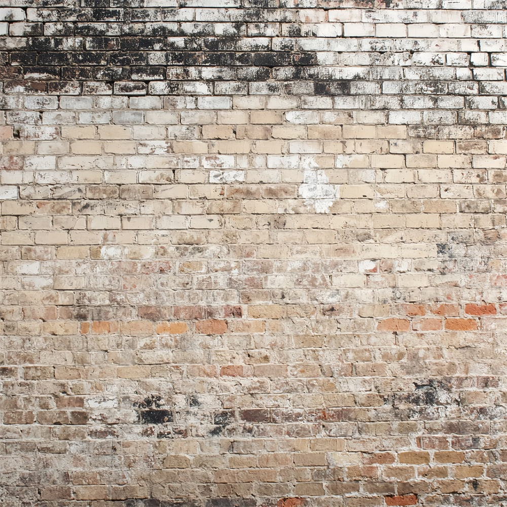 Brick Backdrop Photography Vintage Faded Rustic Wall Brick Backdrop UK TWW59-172