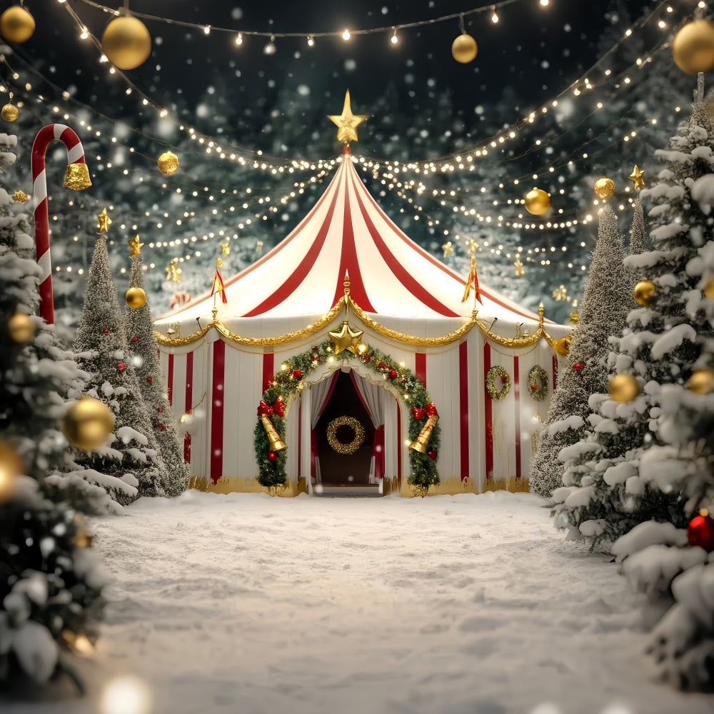 Christmas Circus Backdrop Golden Star Festive Tent Circus Carnival Backdrop UK TWW59-32