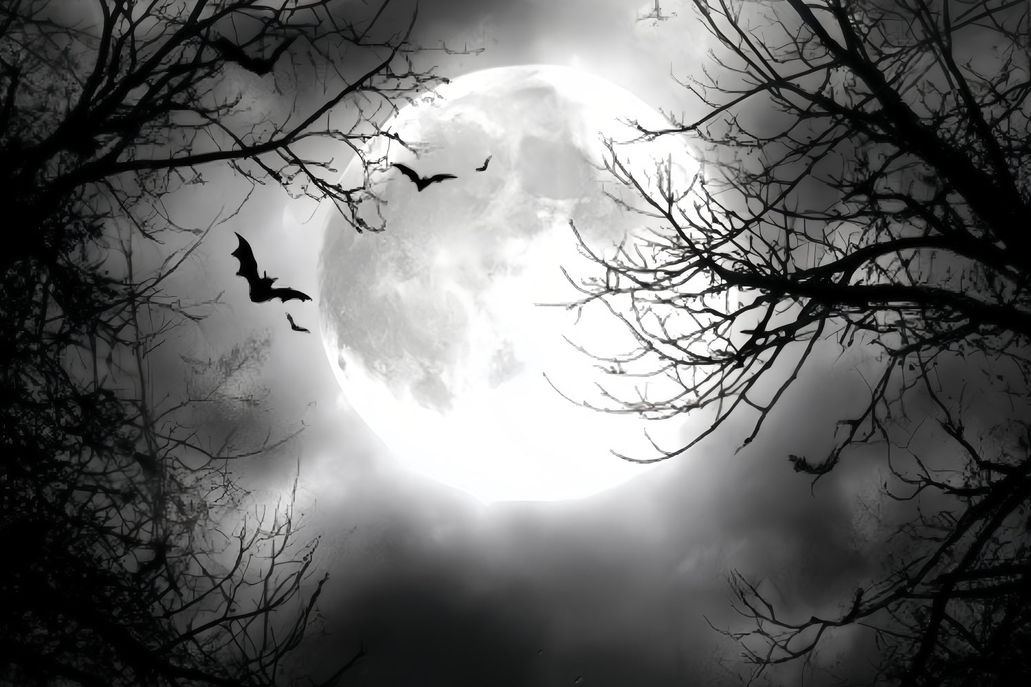 Halloween Moon Backdrop Full Moon Flying Bats Halloween Photography Backdrop UK TWW59-67