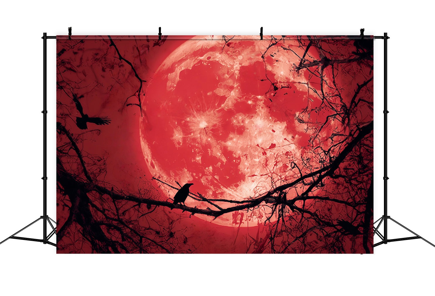Halloween Moon Backdrop Bloody Moon Raven Silhouette Halloween Backdrops UK TWW59-83
