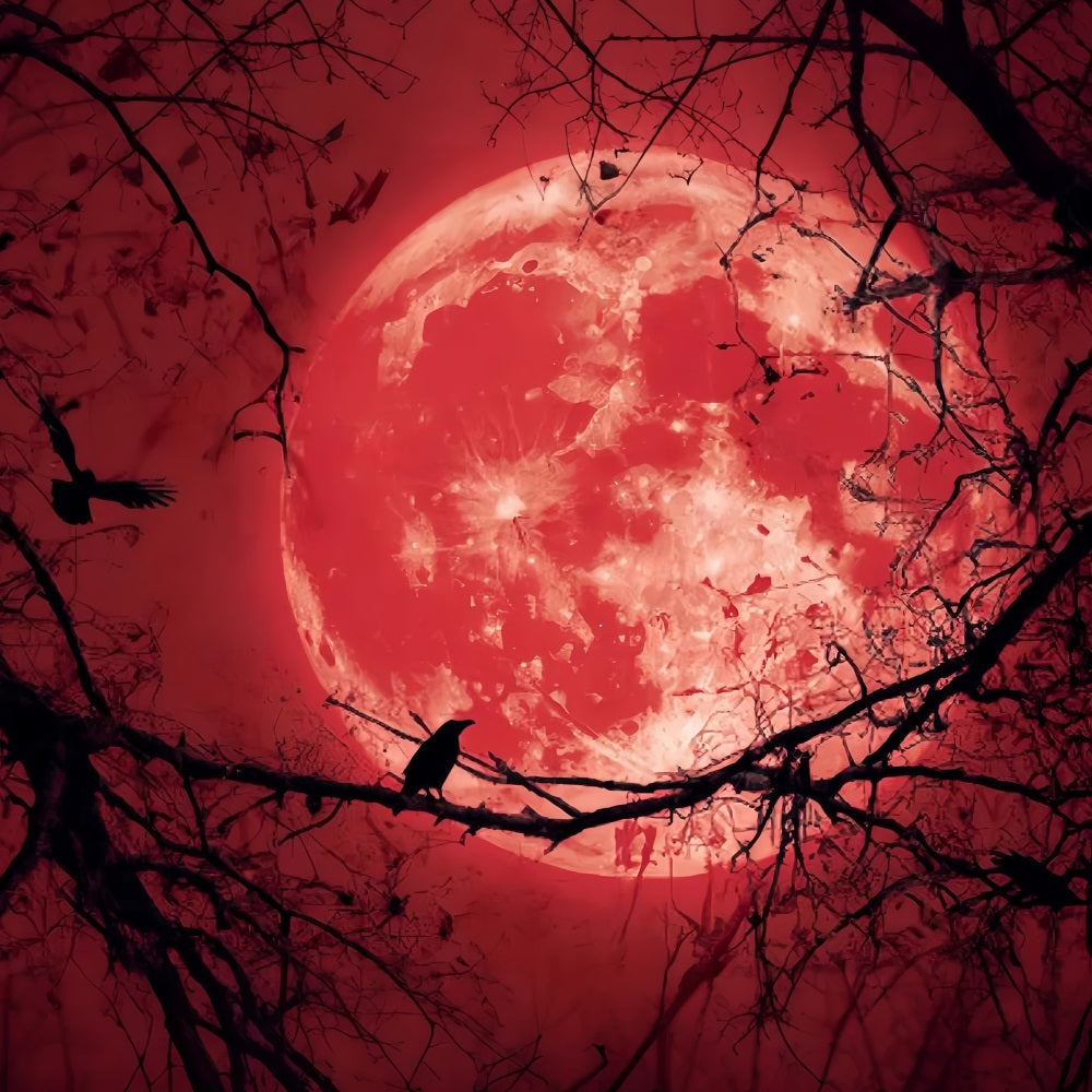 Halloween Moon Backdrop Bloody Moon Raven Silhouette Halloween Backdrops UK TWW59-83