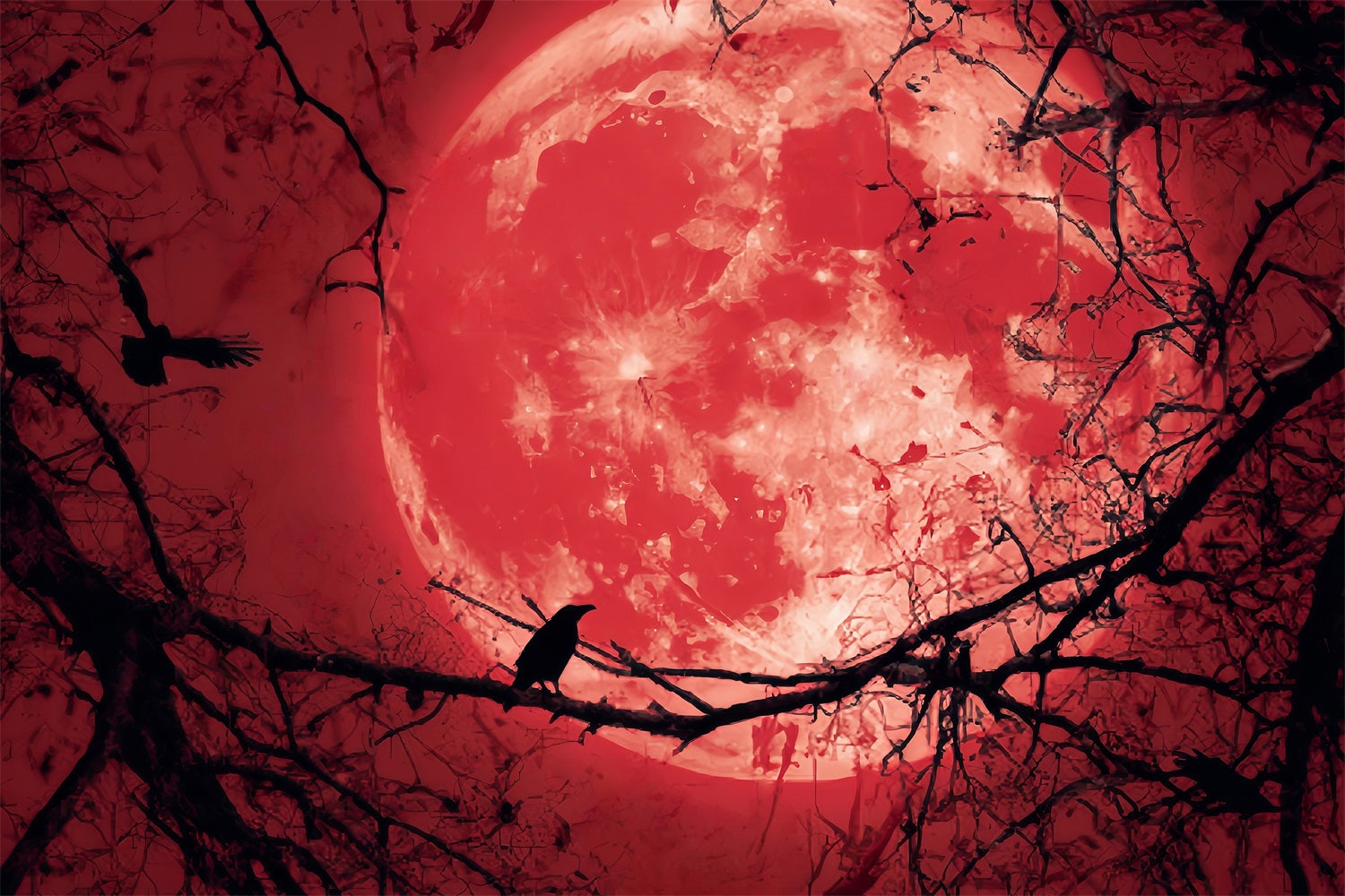 Halloween Moon Backdrop Bloody Moon Raven Silhouette Halloween Backdrops UK TWW59-83