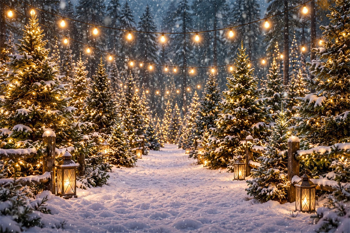 Christmas Tree Farm Backdrop Snowy Lantern Forest Path Christmas Tree Backdrops UK ZTT610-16
