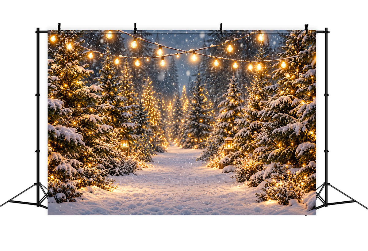 Christmas Tree Farm Backdrop Glowing Snowy Forest Path Christmas Tree Backdrops UK ZTT610-46