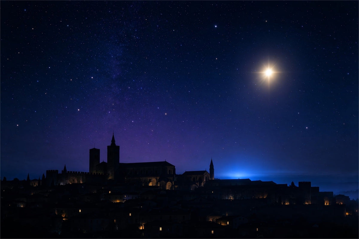 Nativity Scene Backdrop Starry Bethlehem Village Skyline Christmas Photo Backdrop Ideas UK ZTT610-8