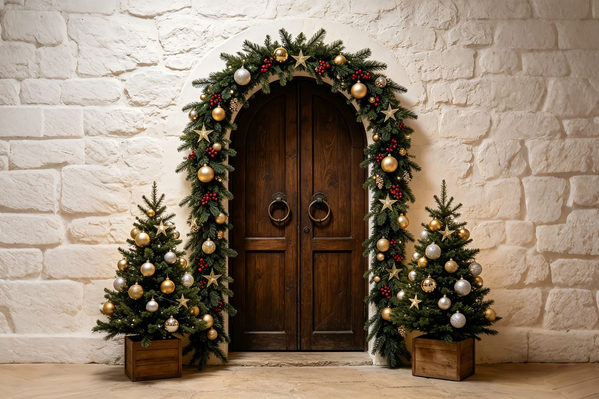 Simple Christmas Backdrop Stone Arch Garland Entrance Christmas Photo BackdropUK ZTT69-14