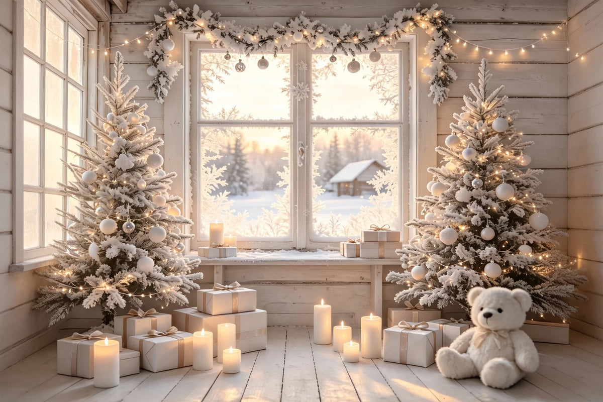 Christmas Cabin Backdrop White Frosted Window Room Photo Backdrop ChristmasUK ZTT69-20