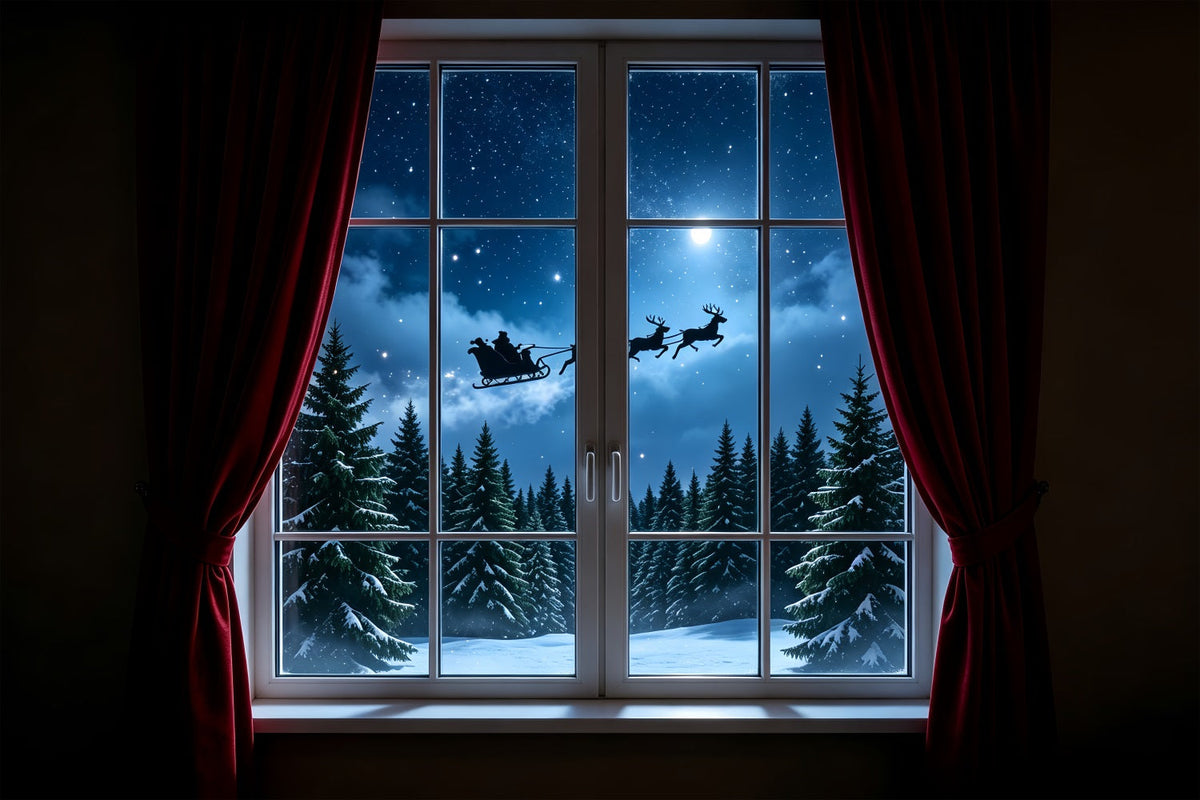Christmas Night Backdrop Moonlit Reindeer Window Photo Christmas BackdropUK ZTT69-34