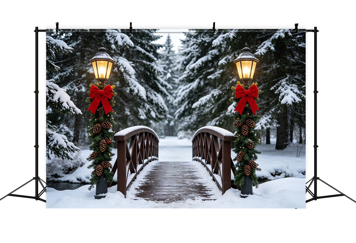 Winter Christmas Backdrop Snowy Bridge Lantern Path Christmas Studio BackdropsUK ZTT69-36