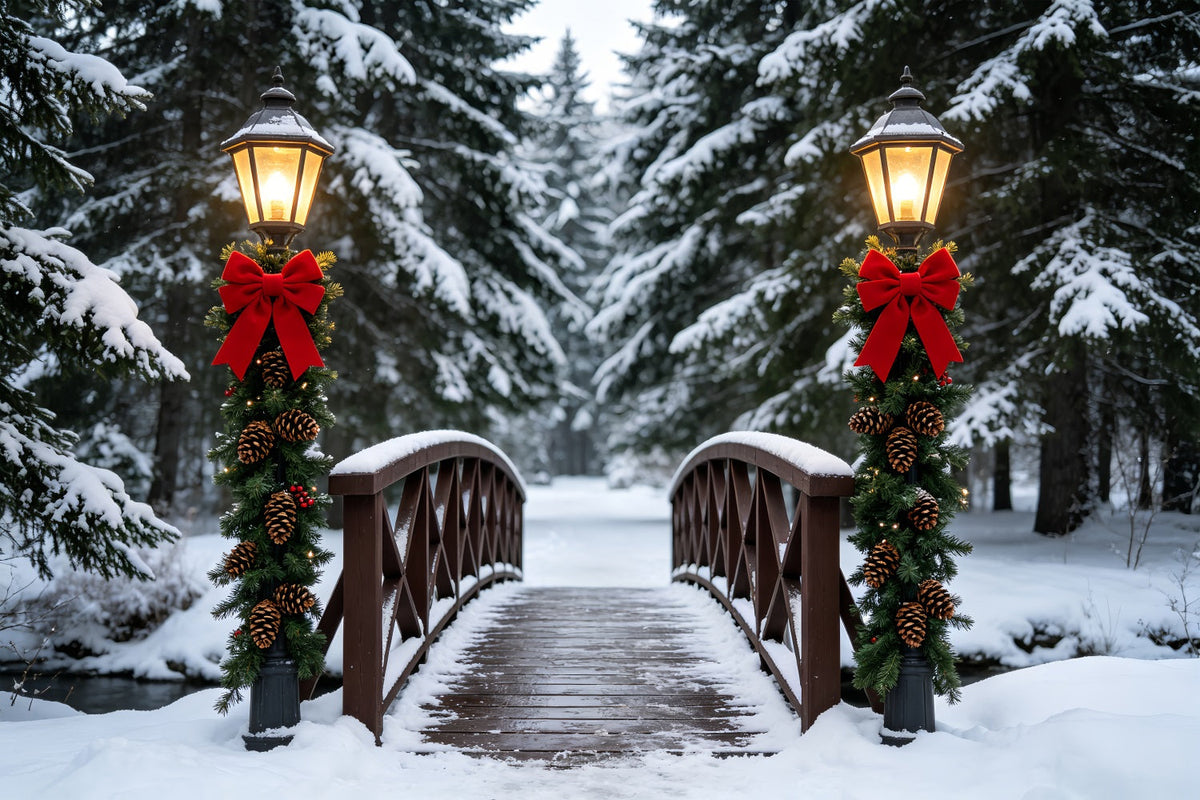 Winter Christmas Backdrop Snowy Bridge Lantern Path Christmas Studio BackdropsUK ZTT69-36