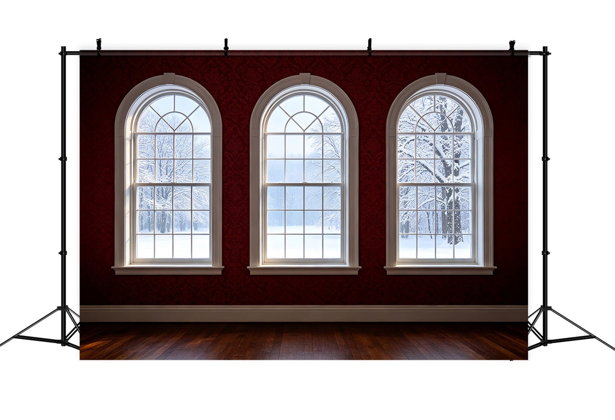 Christmas Room Backdrop Arched Window Winter View Christmas Indoor BackdropUK ZTT69-41