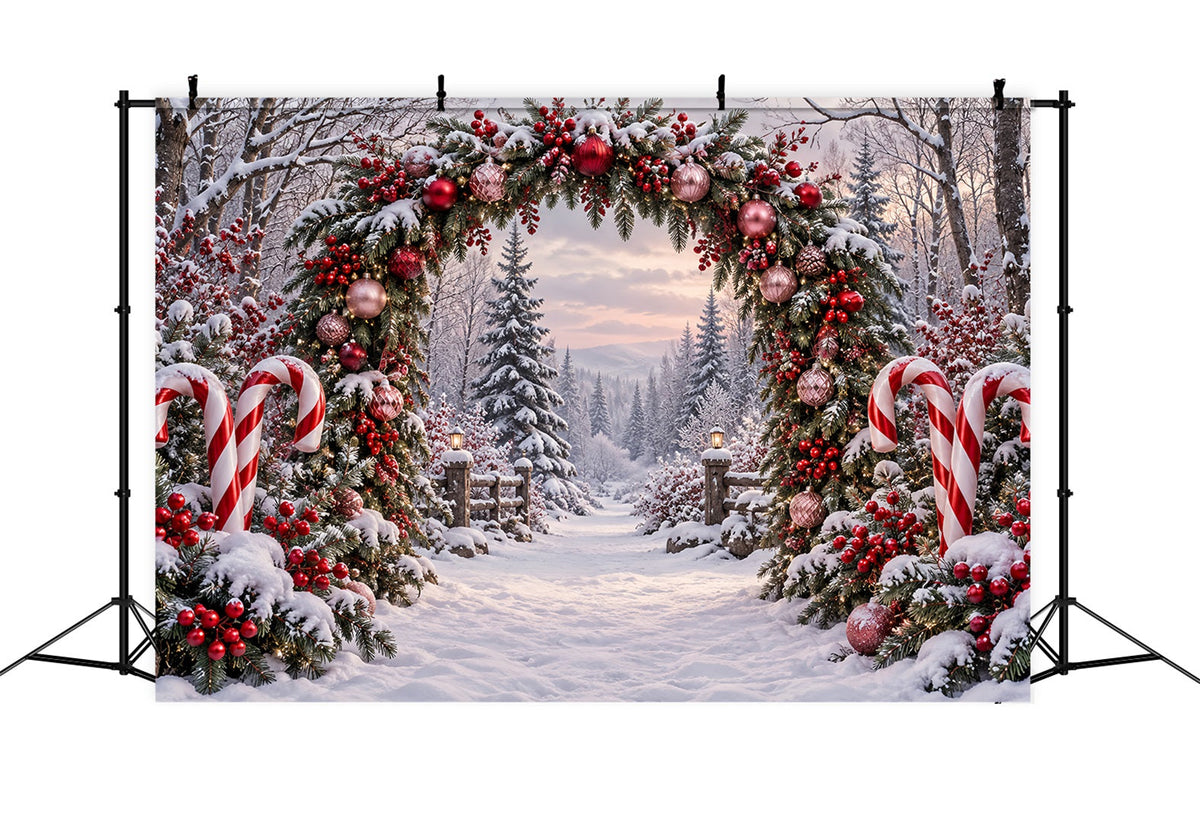 Backdrop Christmas Snowy Forest Candy Cane Arch Xmas Backdrop UK ZTT69-63