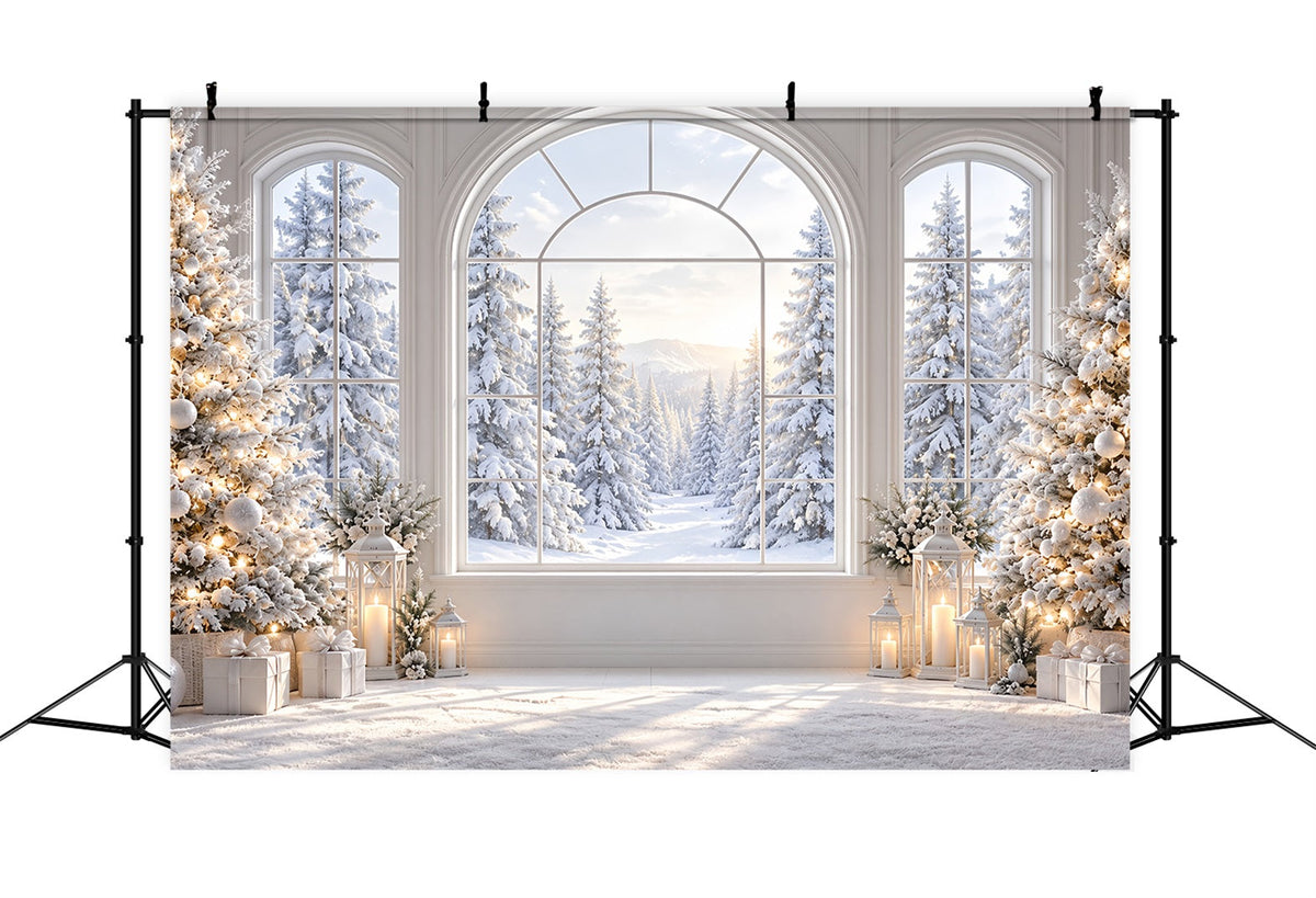 Christmas Window Backdrops Elegant Snowy Window View Christmas Window Backdrop UK ZTT69-76