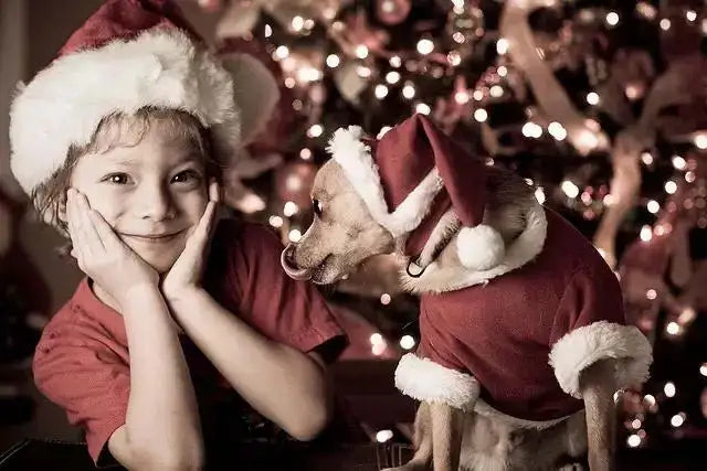 LED String Lights Christmas Room Decoration Light Colored Lighting Battery Box UK BP1692