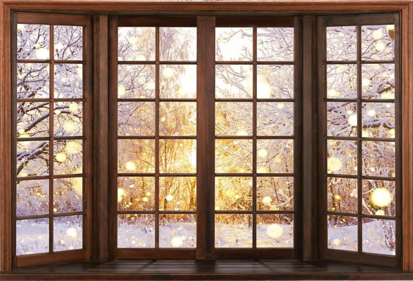 Winter Snow Scene Window Photography Backdrop
