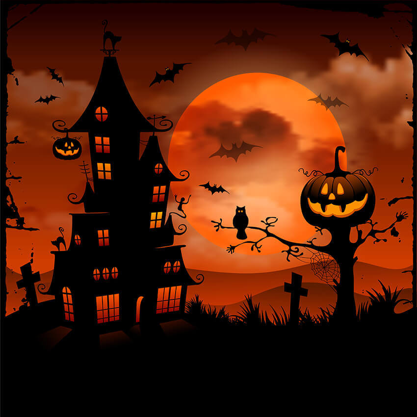 Dark Castle Light Moon Pumpkin Halloween Bat Photography Backdrop UK