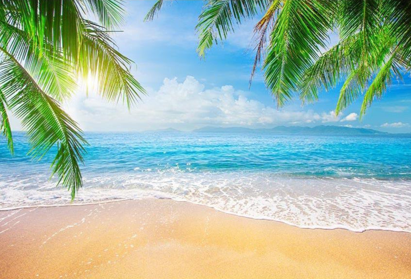 Seaside Sea Sandy Beach Summer Holiday Backdrop G-698