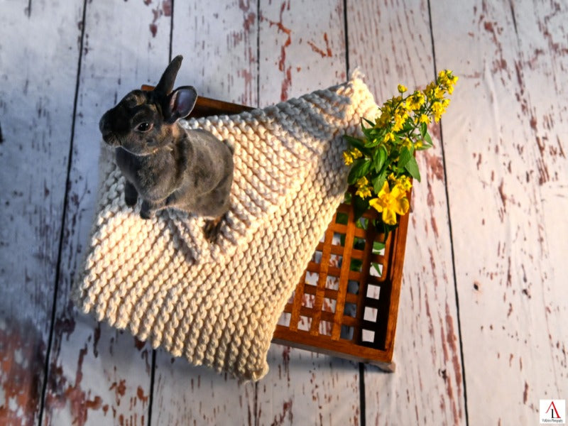 White Wood Wall backdrop UK Background